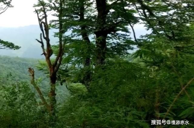 搭建群众“连心桥” 答好服务“满意卷”